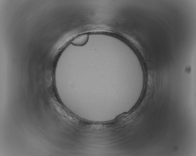 X0000114721407200911181353