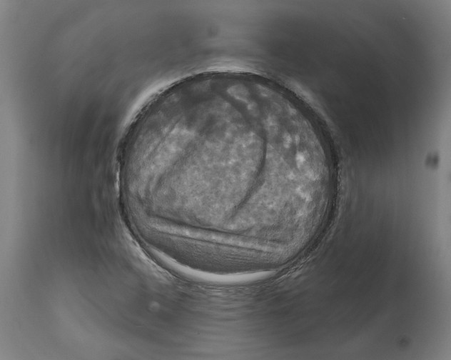 X0000114721408200911181353