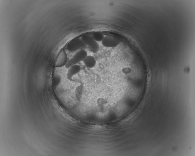 X0000114721409200911181353