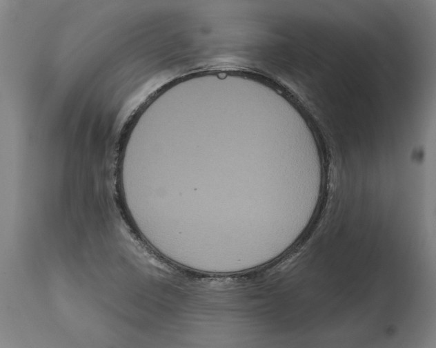 X0000114721410200911181353