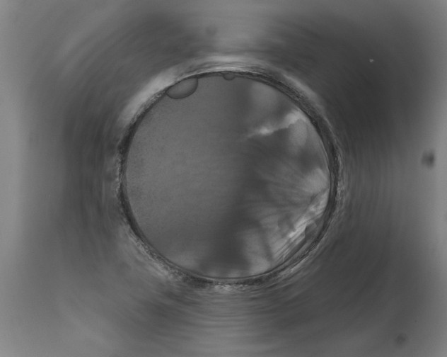 X0000114721411200911181353