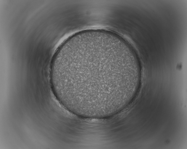 X0000114721412200911181353