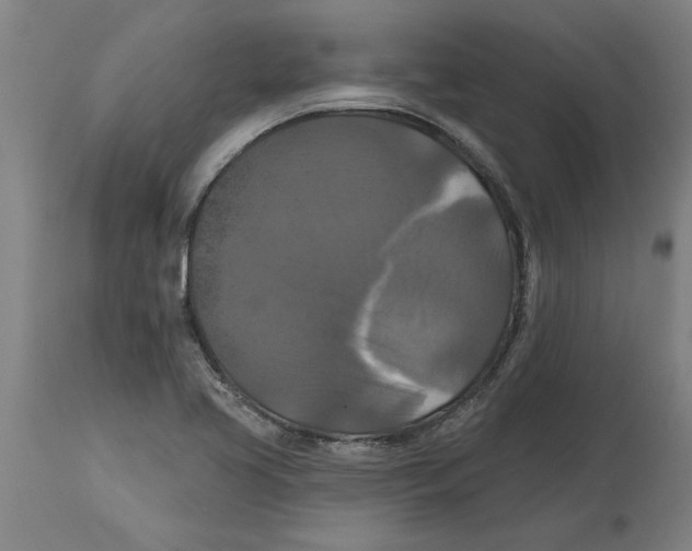 X0000114721413200911181354