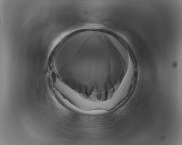 X0000114721414200911181354