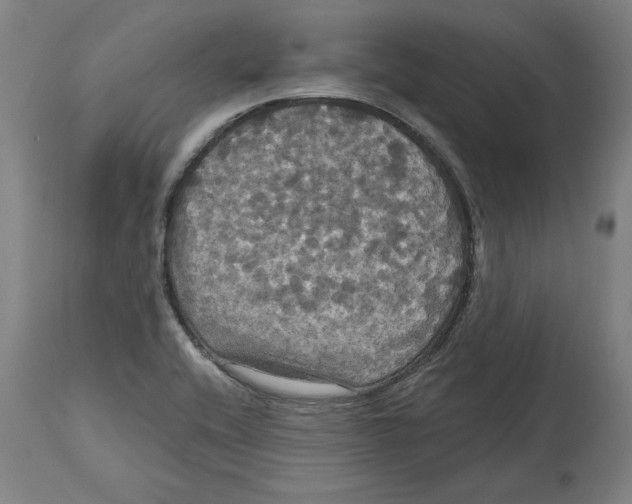 X0000114721416200911181354