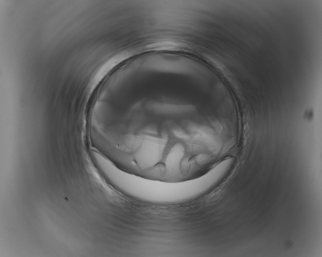 X0000114721418200911181354