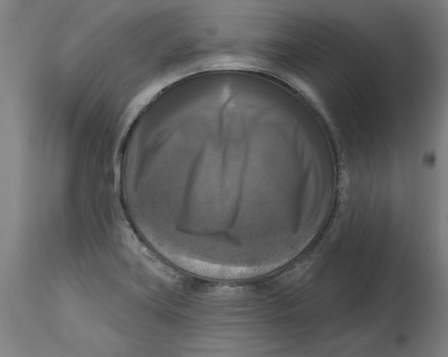 X0000114721419200911181354