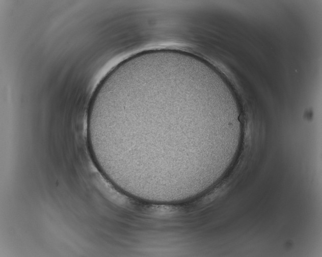 X0000114721420200911181354