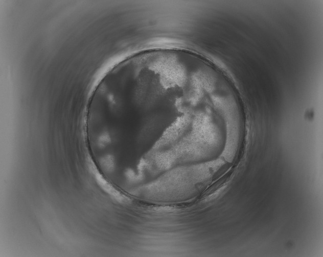 X0000114721421200911181354