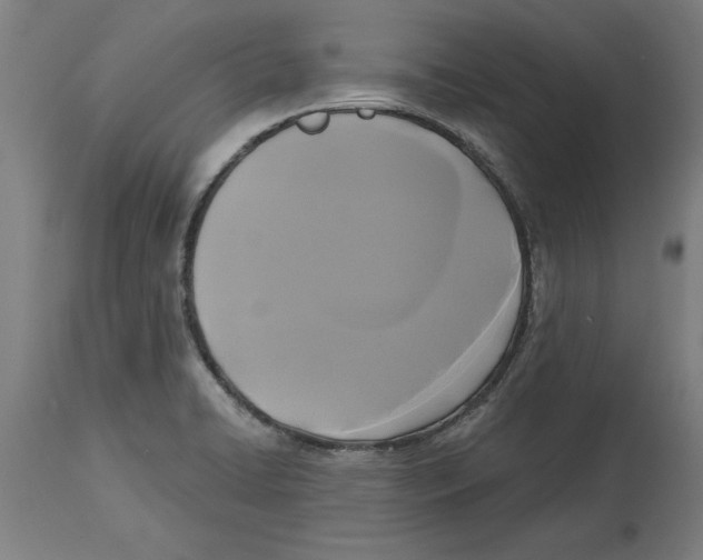 X0000114721422200911181354