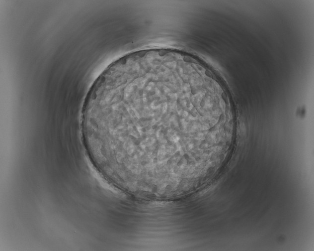 X0000114721423200911181354