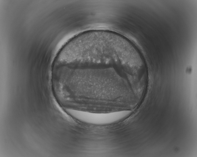 X0000114721424200911181354