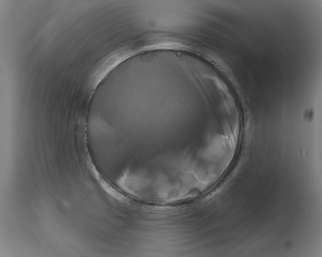 X0000114721425200911181354