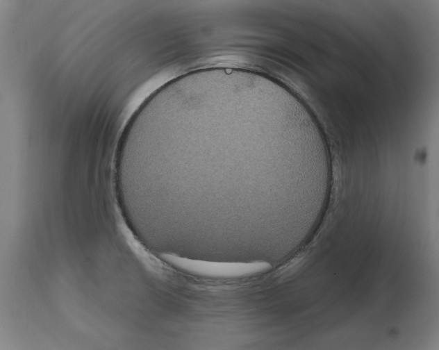 X0000114721426200911181354