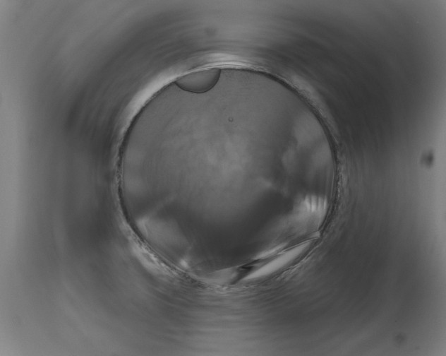 X0000114721427200911181354