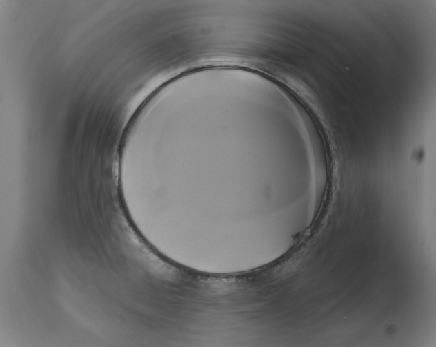 X0000114721428200911181354