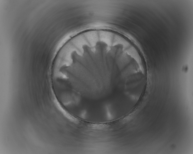 X0000114721429200911181354