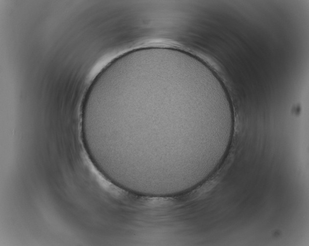 X0000114721430200911181354