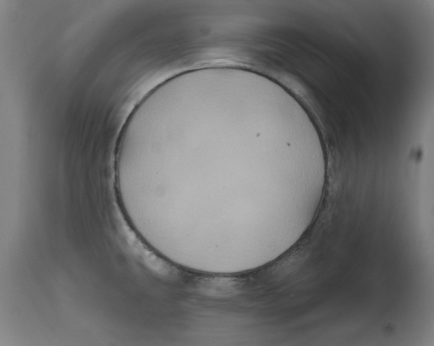 X0000114721431200911181354