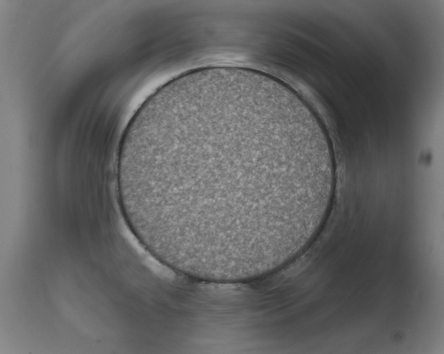 X0000114721432200911181354