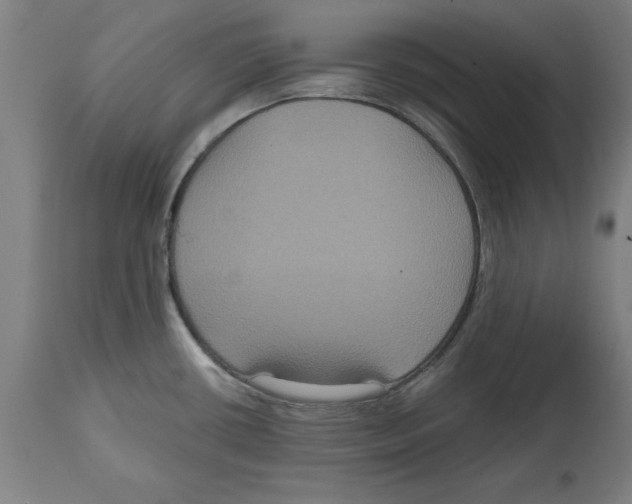 X0000114721434200911181354