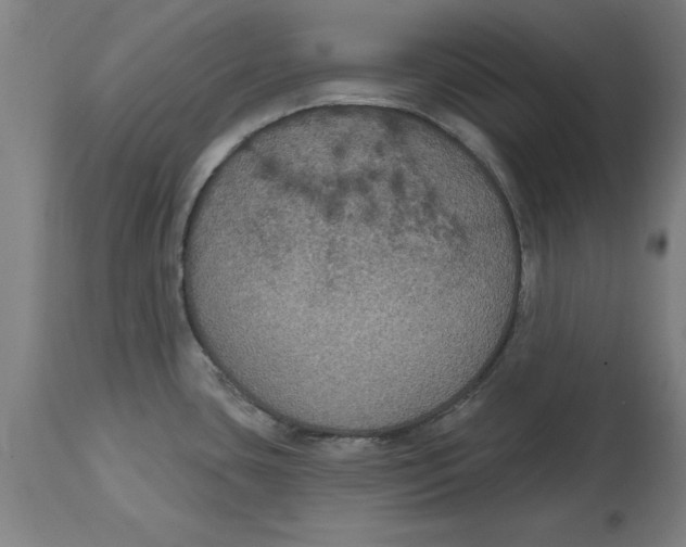 X0000114721435200911181354