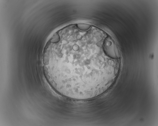 X0000114721436200911181354