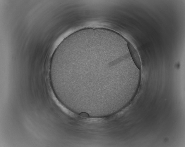 X0000114721437200911181354