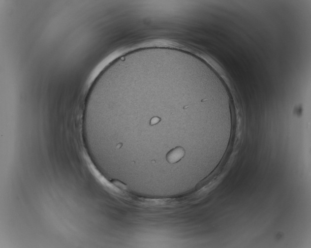 X0000114721438200911181354