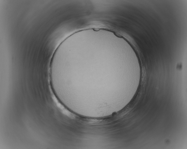 X0000114721439200911181354