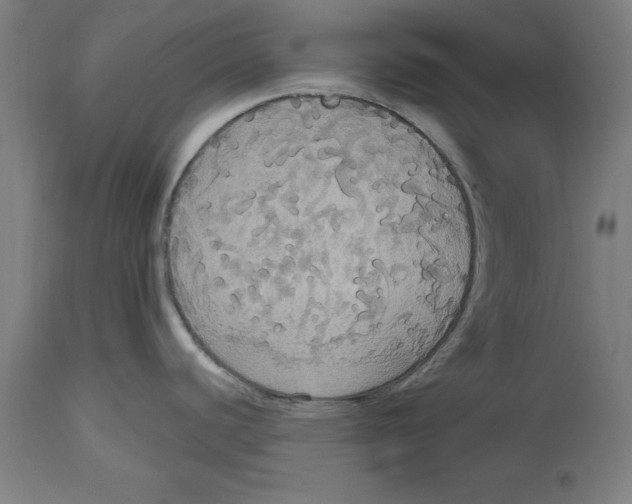 X0000114721440200911181354