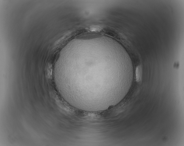 X0000114721443200911181353