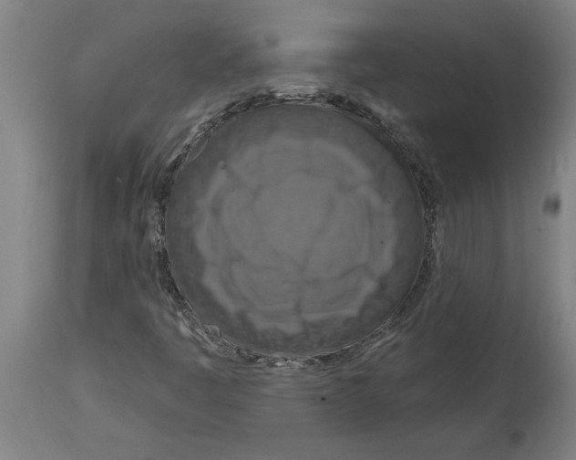 X0000114721445200911181353