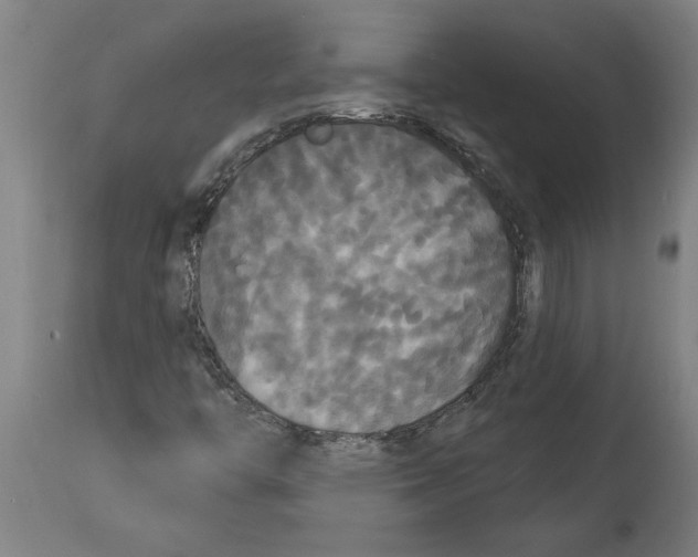 X0000114721446200911181353