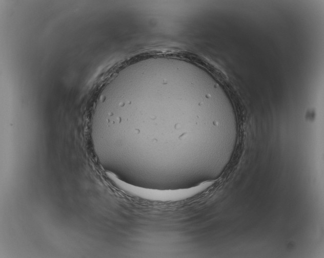 X0000114721447200911181353