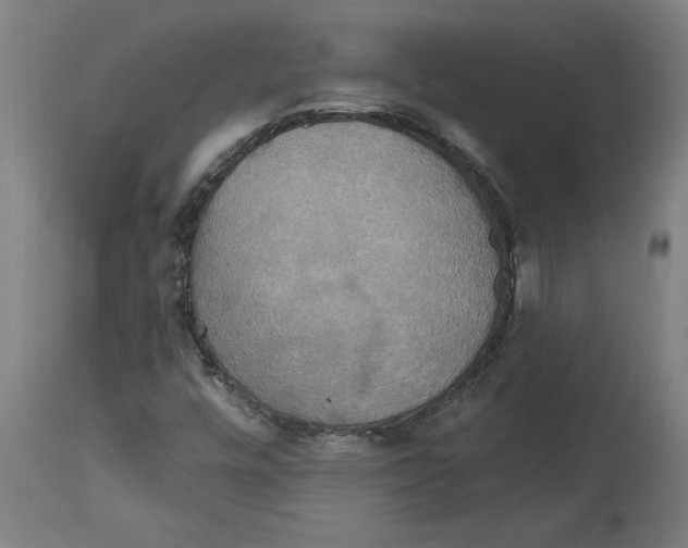 X0000114721448200911181353