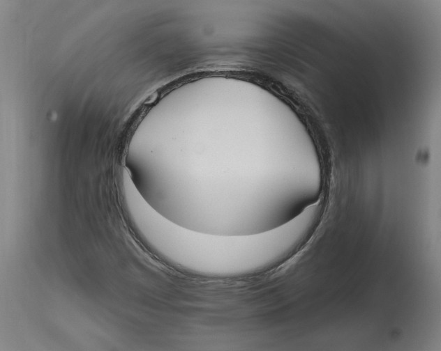 X0000114721449200911181353