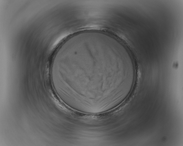 X0000114721450200911181353