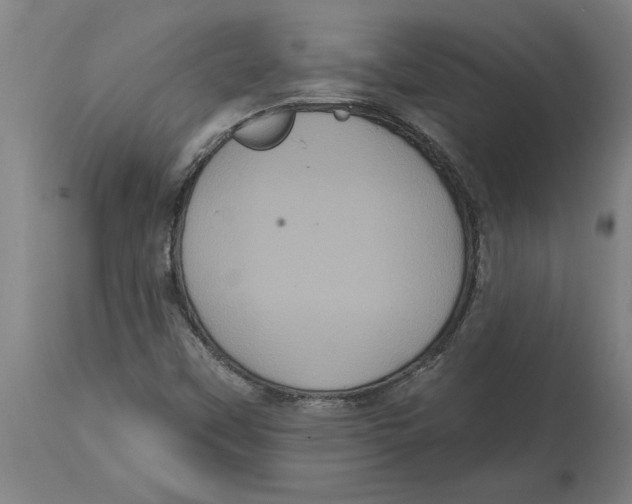 X0000114721451200911181353