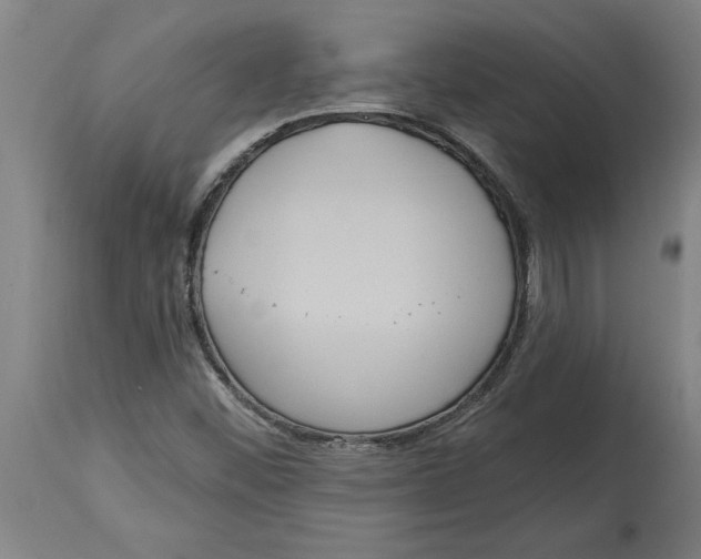 X0000114721452200911181353