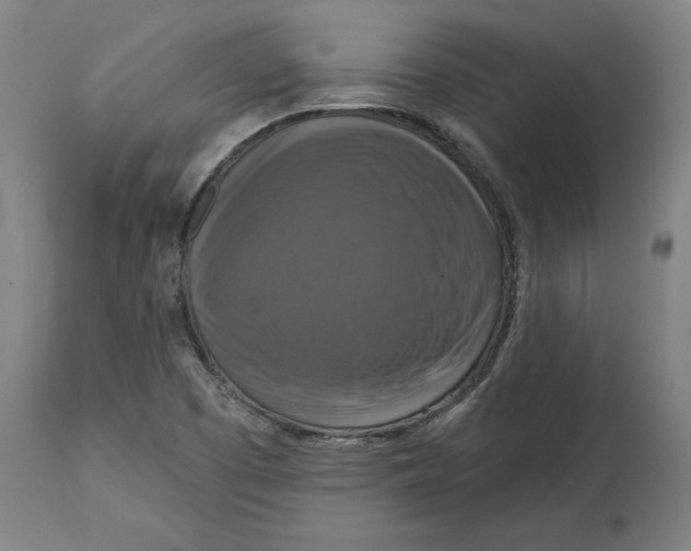 X0000114721457200911181353