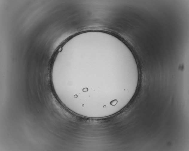 X0000114721458200911181353