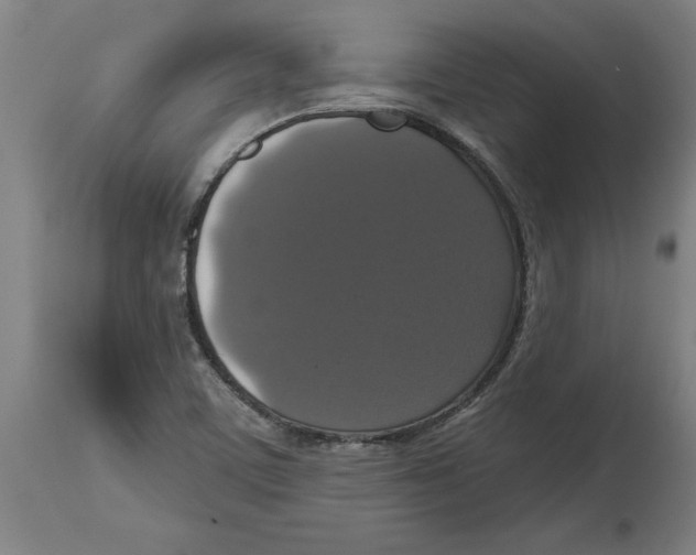 X0000114721459200911181353