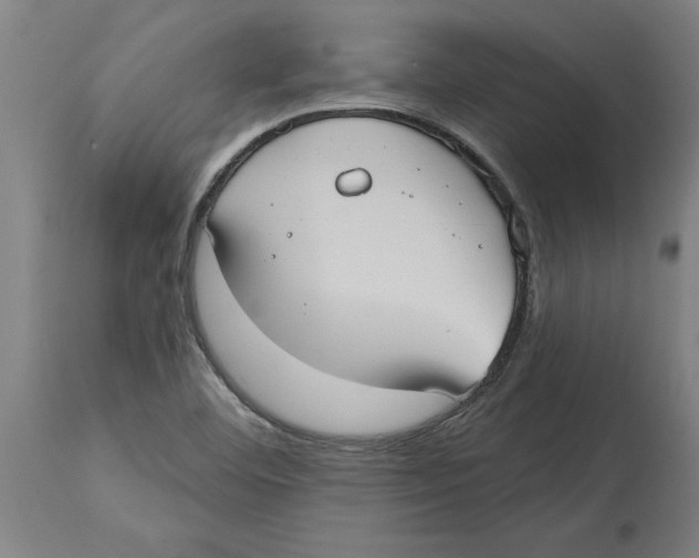 X0000114721460200911181353