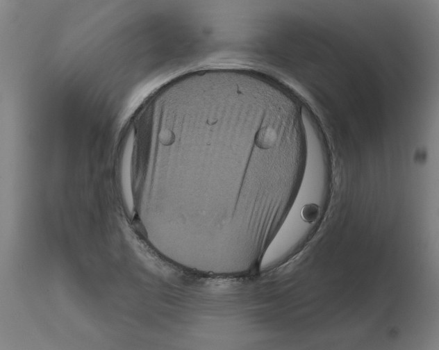 X0000114721461200911181353