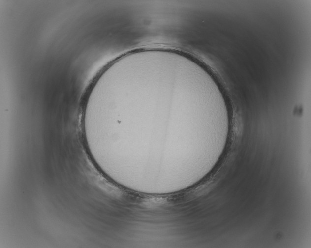 X0000114721462200911181353