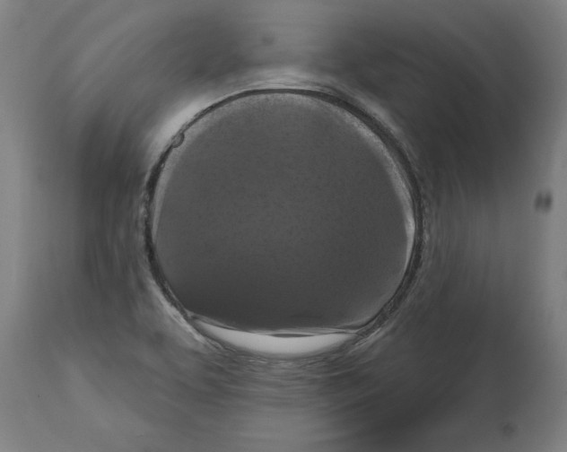 X0000114721463200911181353