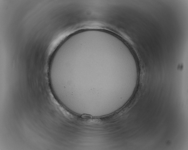 X0000114721464200911181353