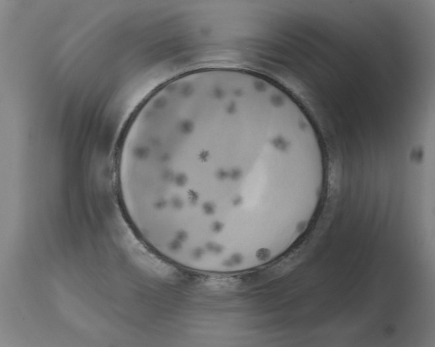 X0000114721466200911181353