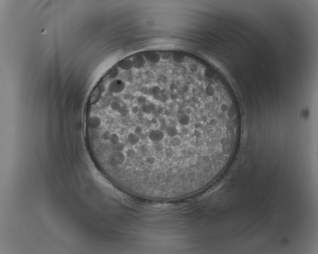 X0000114721467200911181353